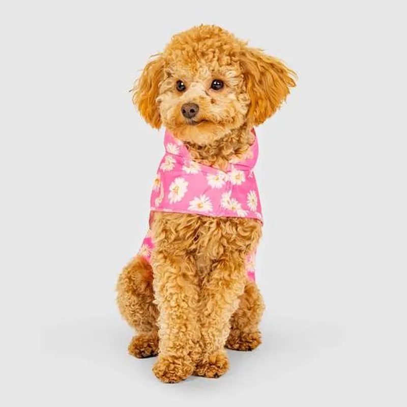 Canada Pooch Pick Me Rain Poncho Daisy