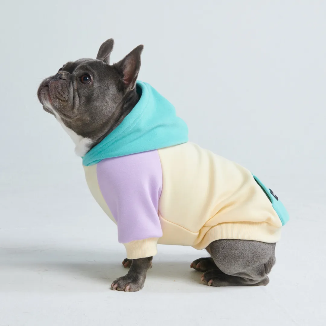 Coastal Dog Hoodie